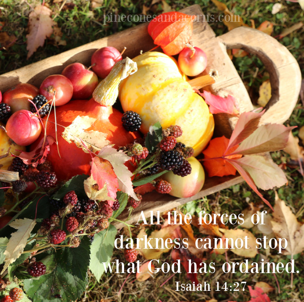 Isaiah 14_27 Bible Quote overlay on a basket of apples, pumpkins and black berries.