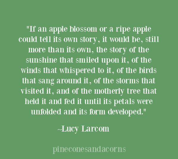"If an apple blossom or a ripe apple could tell its own story, it would be, still more than its own, the story of the sunshine that smiled upon it, of the winds that whispered to it, of the birds that sang around it, of the storms that visited it, and of the motherly tree that held it and fed it until its petals were unfolded and its form developed." ~ Lucy Larcom