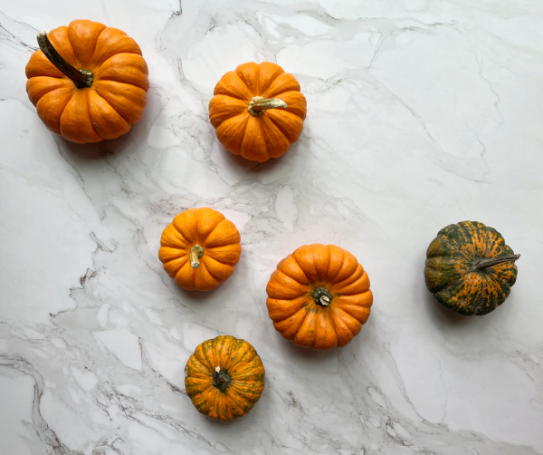 orange pumpkins and one green gourd