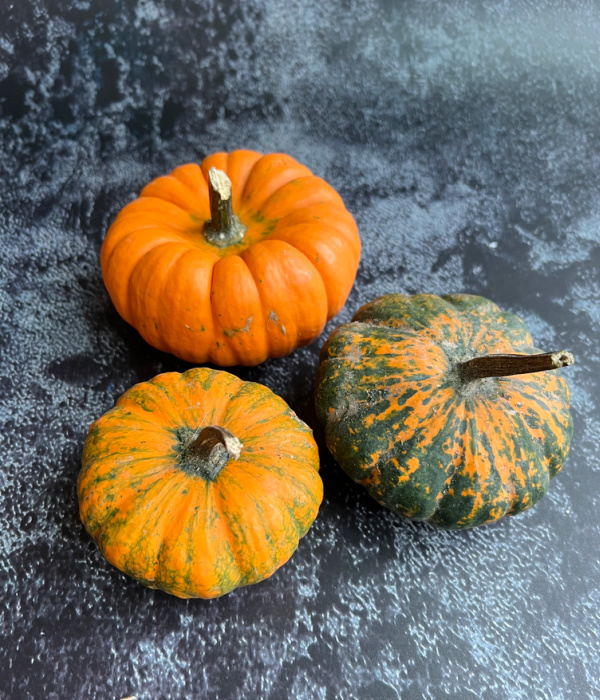 three pumpkins, one orange and green, one orange and a green with orange streaks.