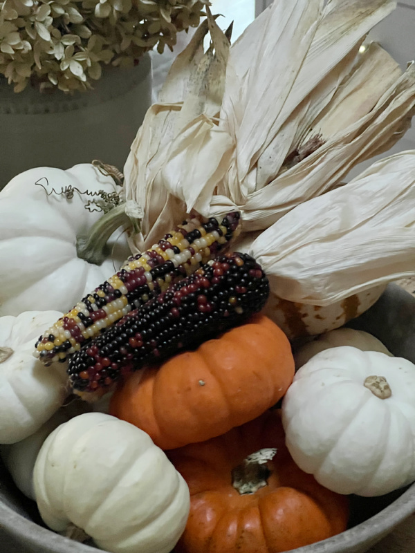 wood bowl of white and orange pumpkins and Indian corn