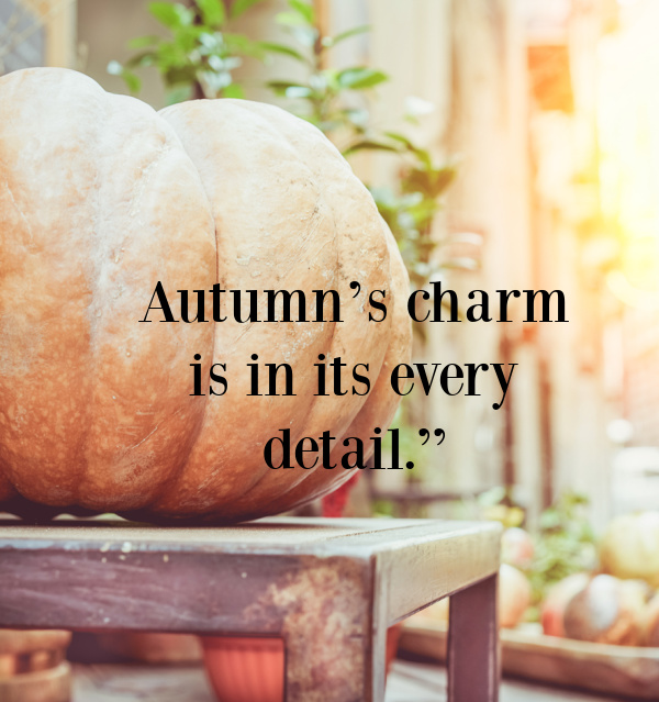 Autumn’s charm is in its every detail.”