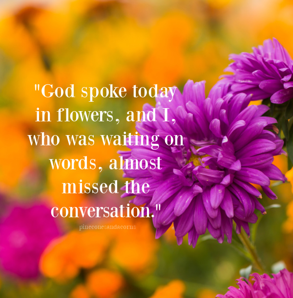 God spoke today in flowers, and I, who was waiting on words, almost missed the conversation overlay on orange, purple and fuchsia flowers.