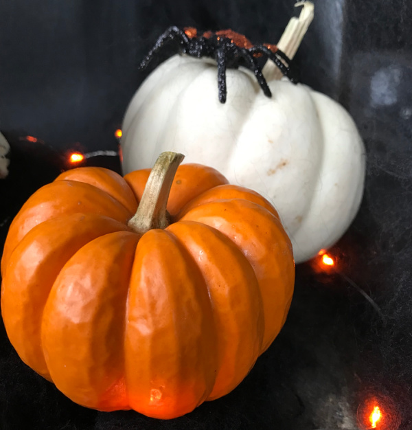 pumpkins white and orange with a black spider