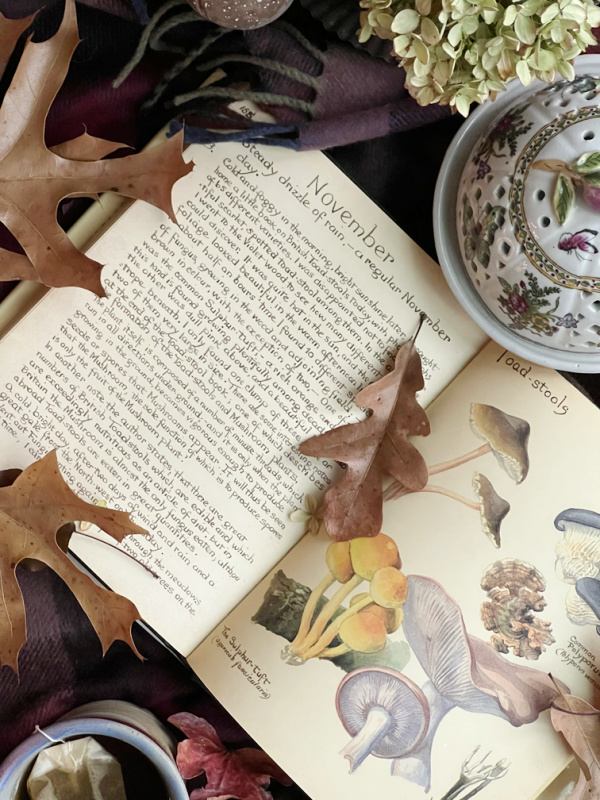 November flatlay with mushrooms and leaves