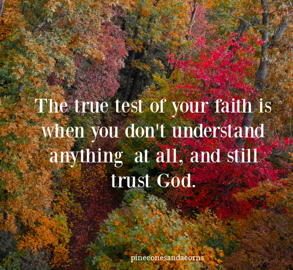 The true test of your faith is when you don't understand anything at all, and still trust God.