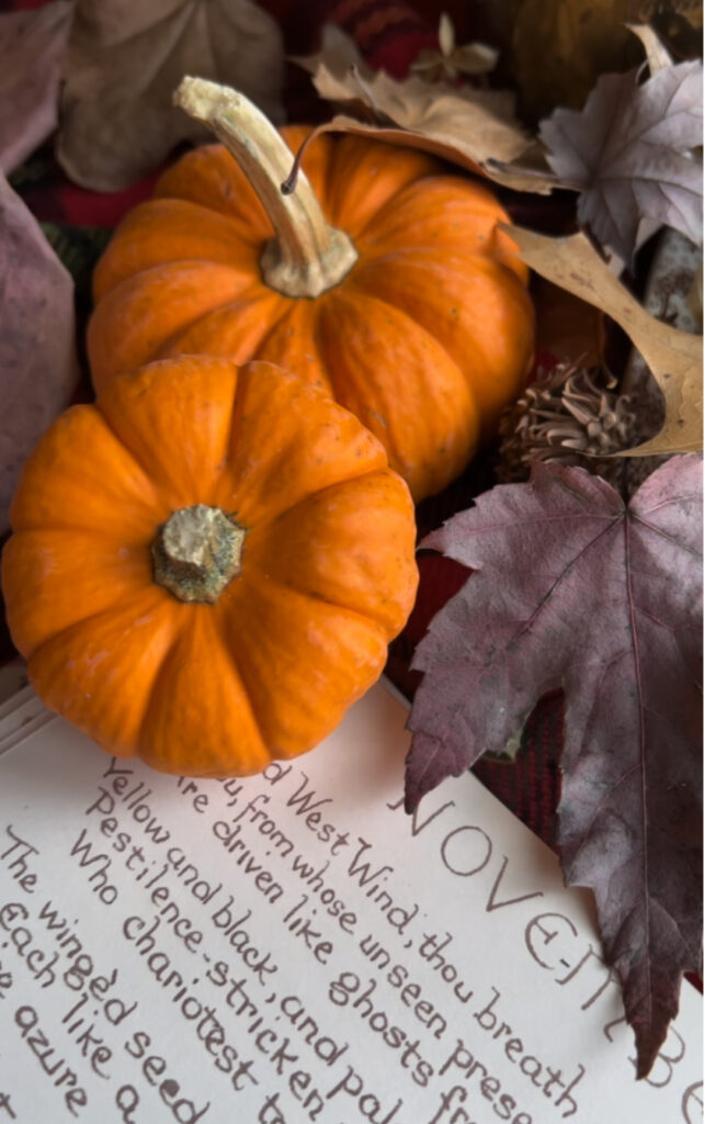 flatlay of book and pumpkins