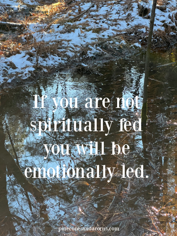 If you are not spiritually fed you will be emotionally led overlay on a stream in the winter.