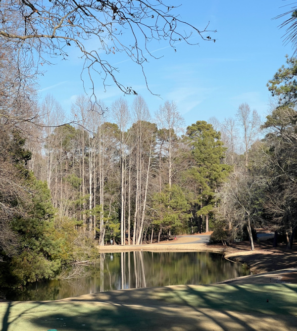 Winter view over pond.