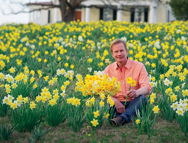 P.Allen Smith Moss Hill Farm, daffodils.