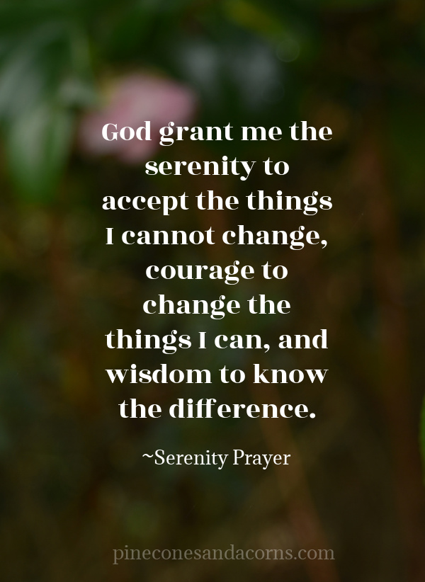 God grant me the serenity to accept the things I cannot change, courage to change the things I can, and wisdom to know the difference.