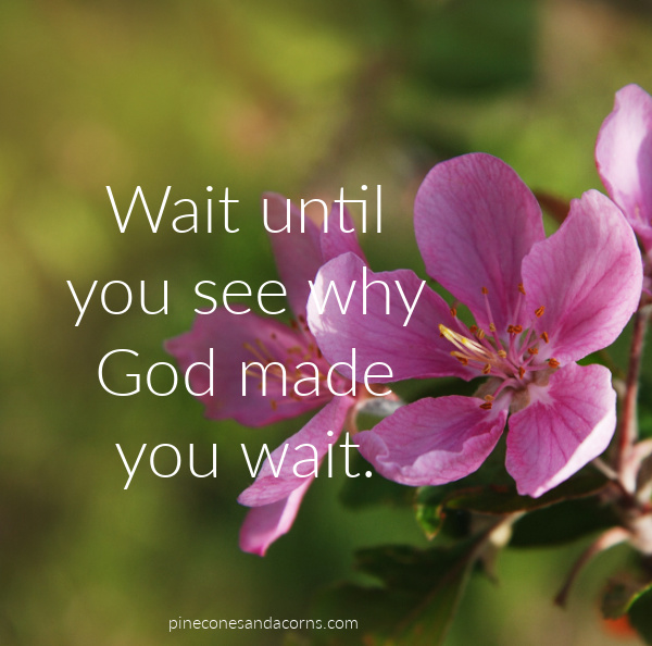 Quote Wait until you see why God made you wait overlay on pine flowers.
