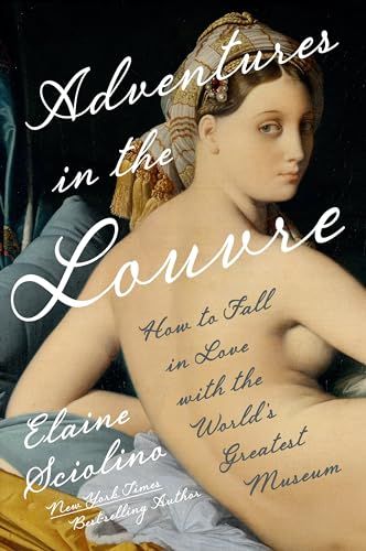 Adventures in the Louvre book cover.