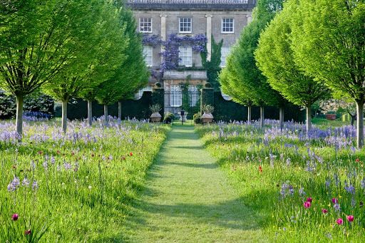 Highgrove garden. 