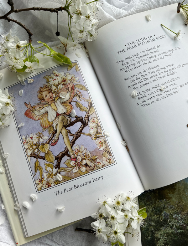 Flower Fairy Pean Blossom