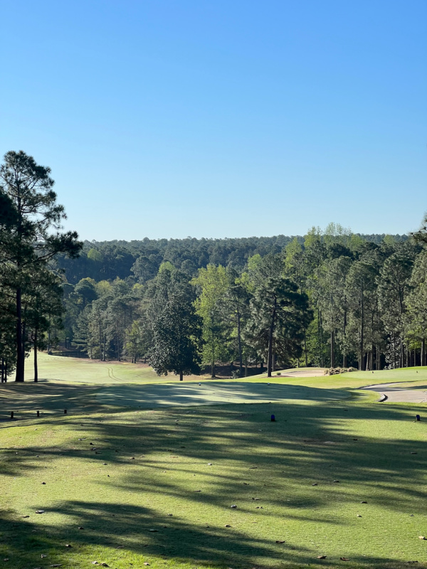 Pinewild CC