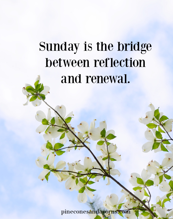 Quote Sunday is the bridge between reflection and renewal overlay on a photo odyssey white dogwood blossoms agains the sky.