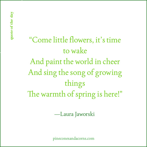 Spring Quote Laura Jaworski “Come little flowers, it’s time to wake And paint the world in cheer And sing the song of growing things The warmth of spring is here!