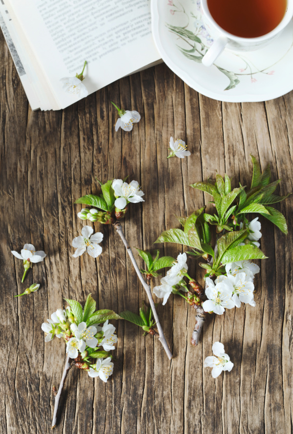 pear blossoms and a cup of tea and a book.