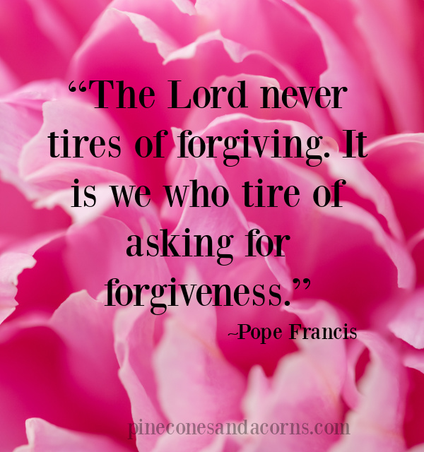 Pope Francis Quote The Lord never tires of forgiving. It is we who tire of asking for forgiveness overlay on pink peony.