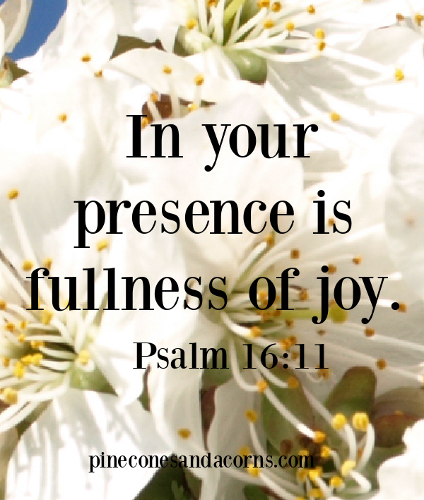 Psalm 16_11 in your presence is fullness of joy.