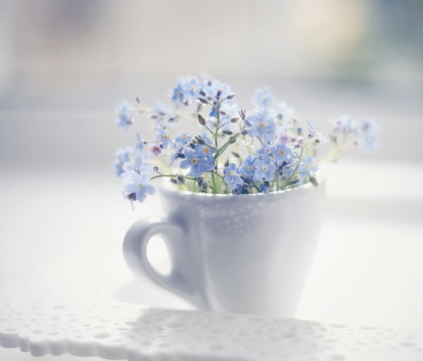 small blue flowers in a white tea cup and saucer.