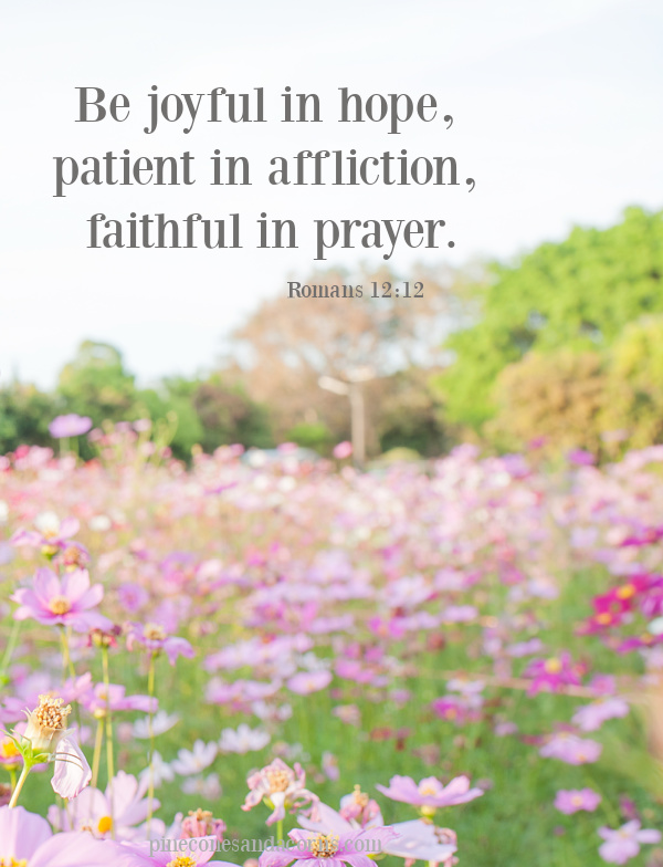 Be joyful in hope, patient in affliction, faithful in prayer. Romans 12_12 overlay on a field of colorful poppies and cosmos flowers.