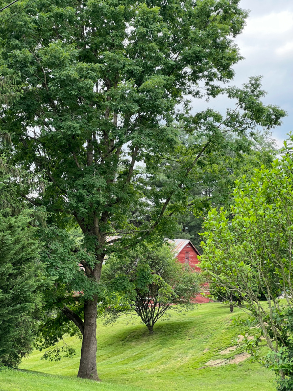Jonesboro red barn in a green pasture.