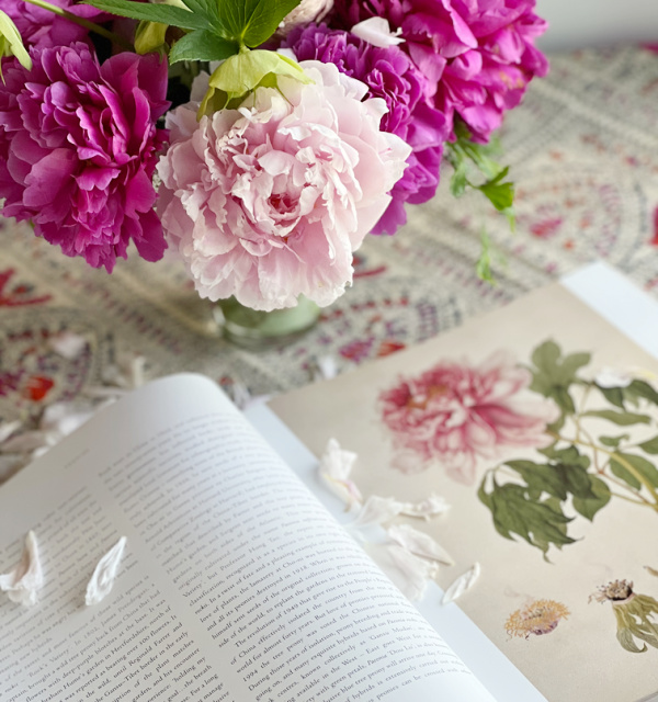 peonies in a vase with a book opened to a peony flower
