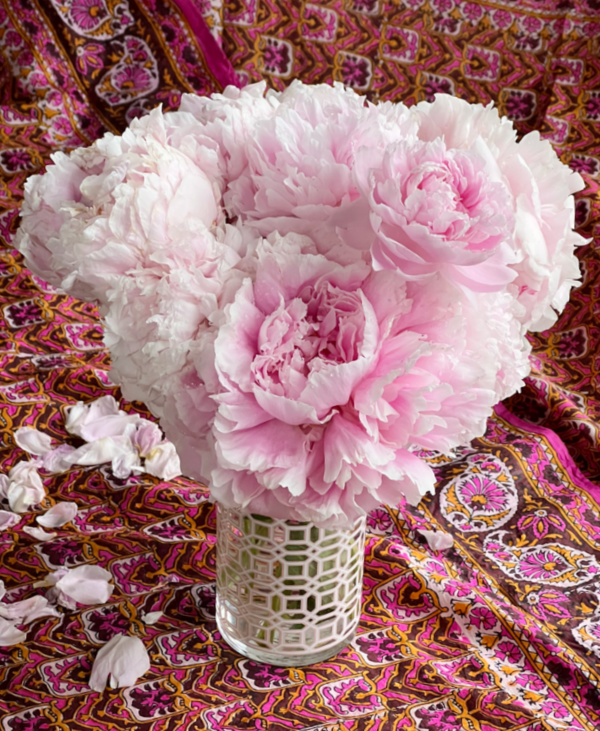 pink peonies and a pink and orange Sarai.