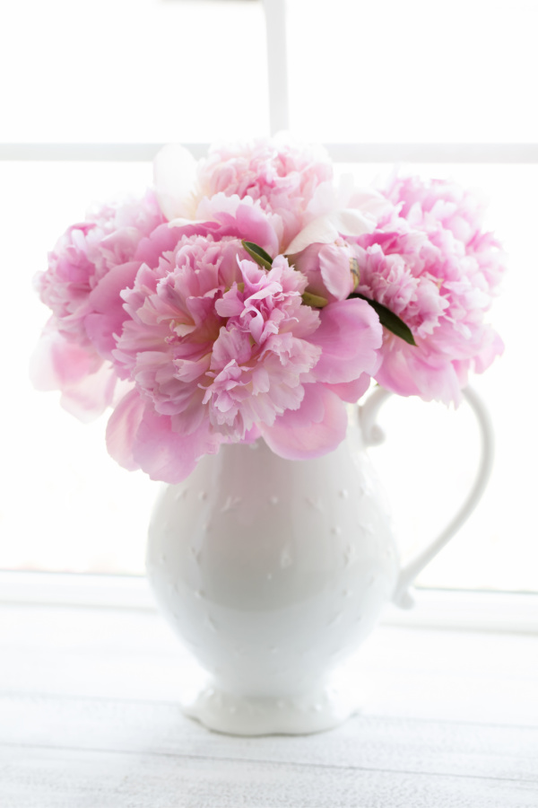 white pitcher filled with pink peonies.