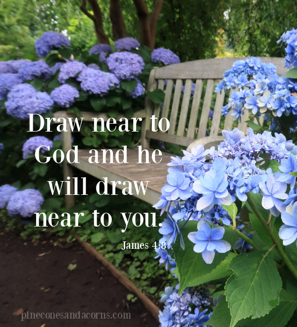 Bible verse James 4_8 Draw near to God and he will draw near to you overlay on a weathered bench with blue and purple hydrangeas on either side side.
