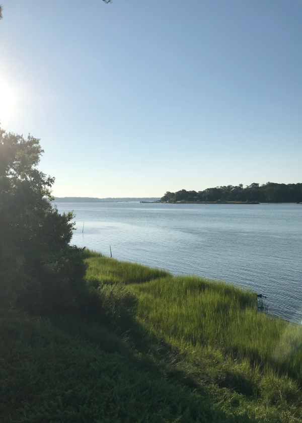 Chesapeake inlet, waterway with trees, view from the bank. 
