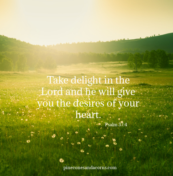 Take delight in the Lord and he will give you the desires of your heart.