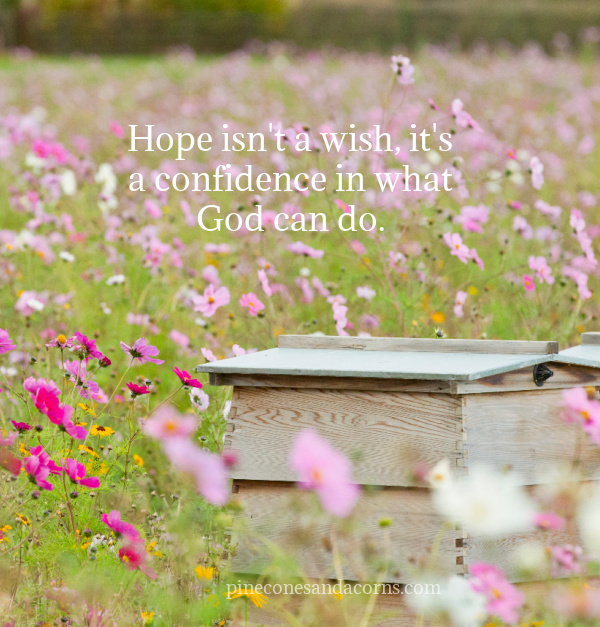 Quote Hope isn;t a wish, it's a confidence in what God can do.
