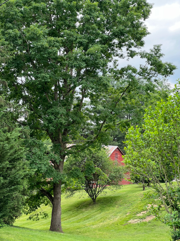 small red barn surrounded by trees