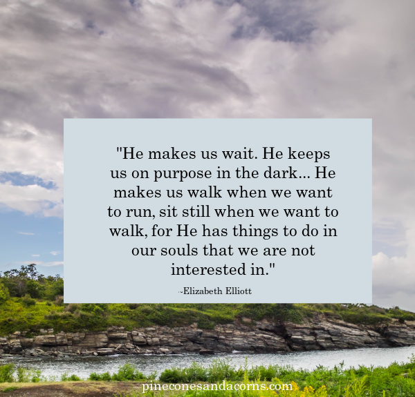 Elizabeth Elliott Quote He makes us wait.