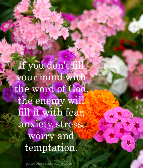 Quote If you don't fill your mind with the word of God, the enemy will fill it with fear, anxiety, stress, worry and temptation, overlay on a field of colorful flowers.
