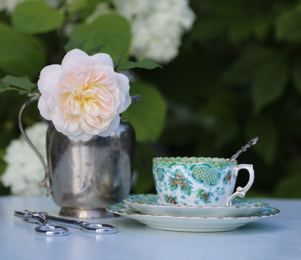 rose in a silver pitcher with a cup of tea.