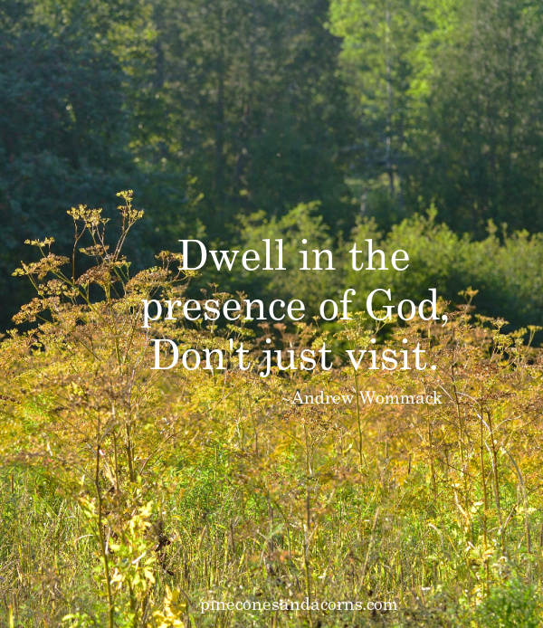 Andrew Wommack Quote Dwell in the Presence of God Don't just visit.