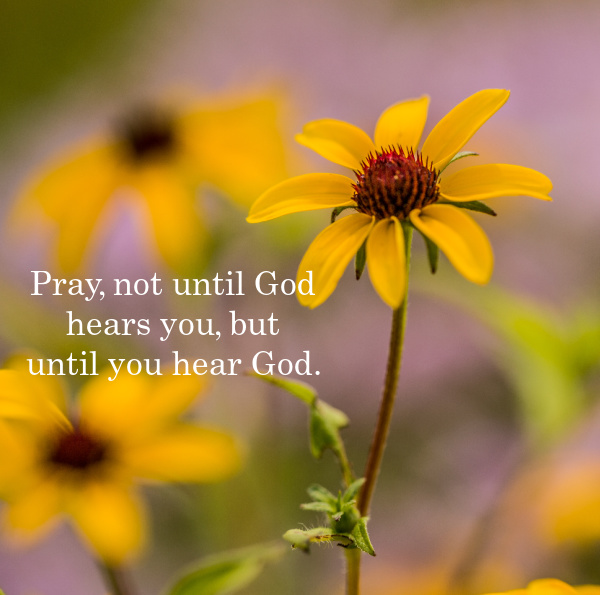 Pray, not until God hears you, but until you hear God overlay on yellow wild flowers.