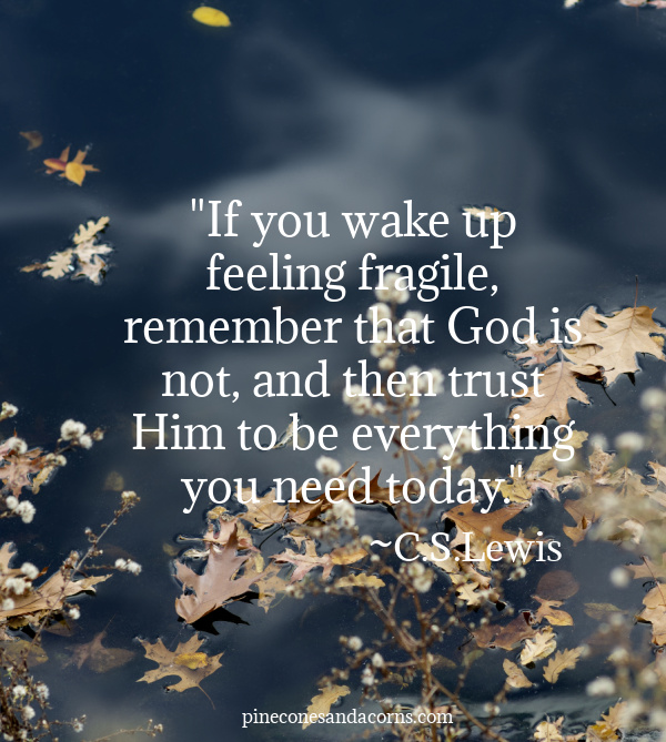 "if you wake up feeling fragile, remember that God is not, and then trust Him to be everything you need today"
