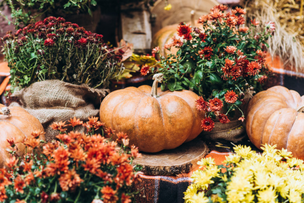 Fall pumpkins and flowers.