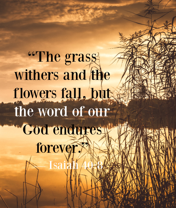 Isaiah 40_8 The grass withers and the flowers fall, but the word of our God endures forever.”