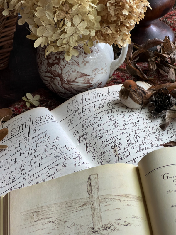 Vintage book 1867.