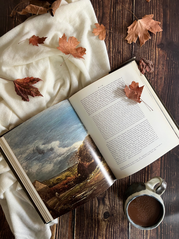 fall flatlay with book and hot chocolate, and fallen leaves on a piece of wood with a white sweater.