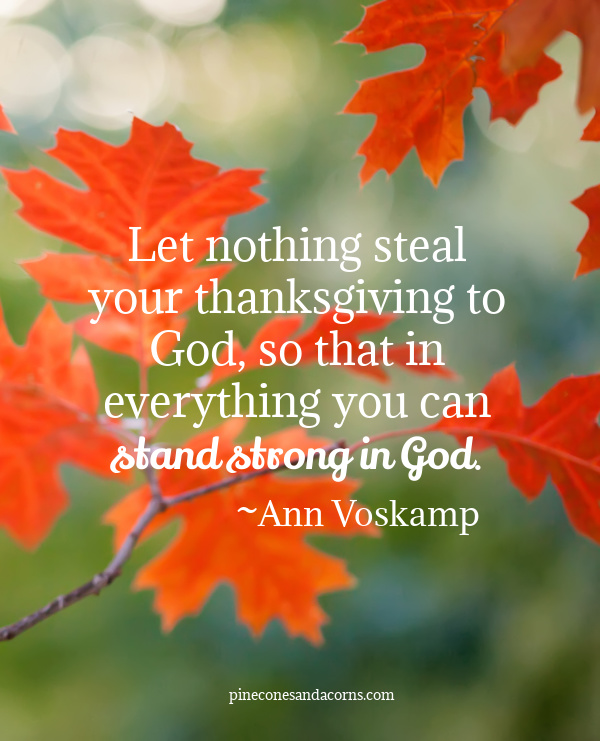 Ann Voskamp Let nothing steal your thanksgiving to God, so that in everything you can stand strong in God.