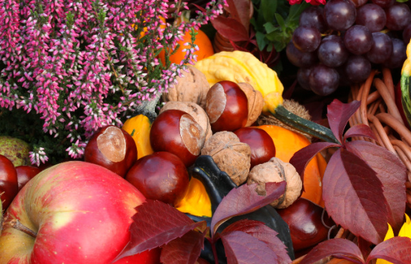 Fall Fruits and vegetables in a basket.