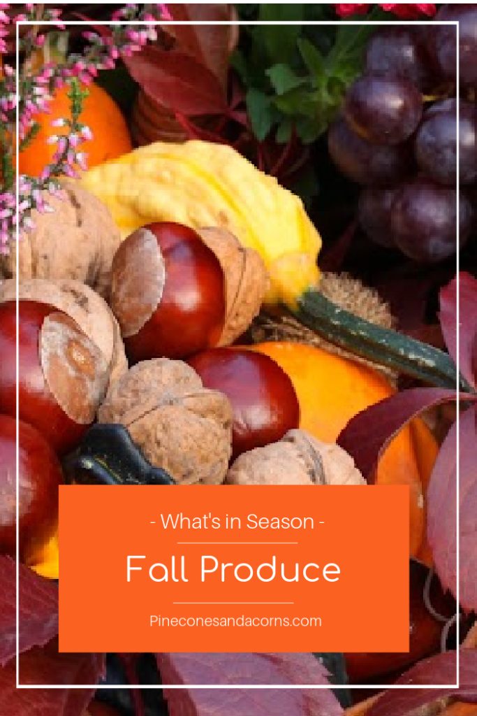 fall-fruits-and-vegetables,Pinterest Pin with chestnuts, walnuts, apples, squash. 