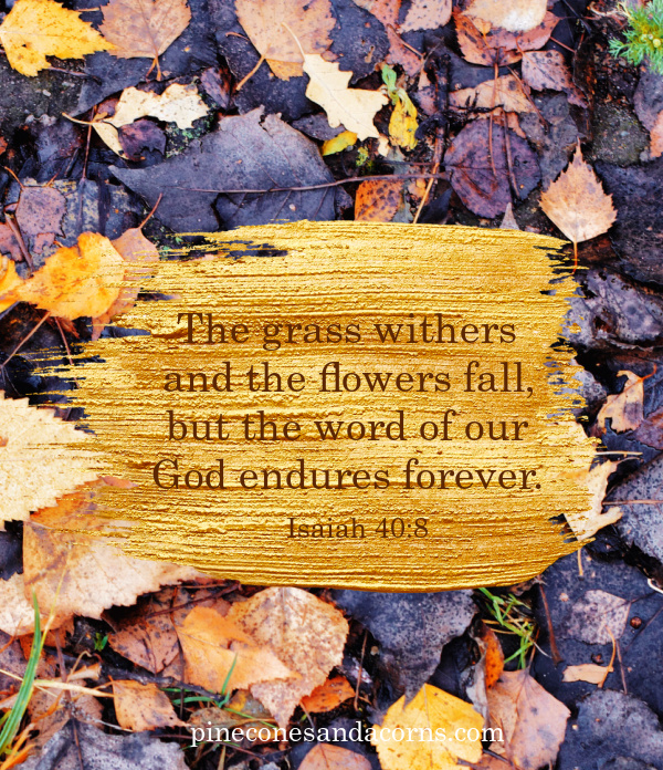 Isaiah 40_8 The grass withers and the flowers fall, but the word of our God endures forever overlay on a smear of golden yellow paint and a pile of purple and yellow leaves.